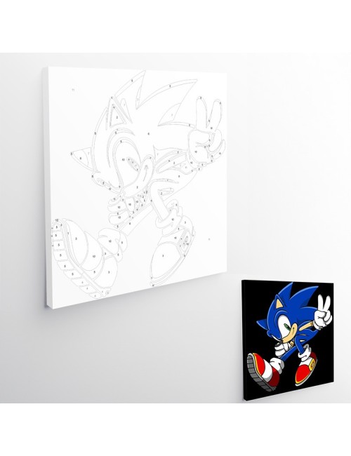 Kit De Pintura - Sonic