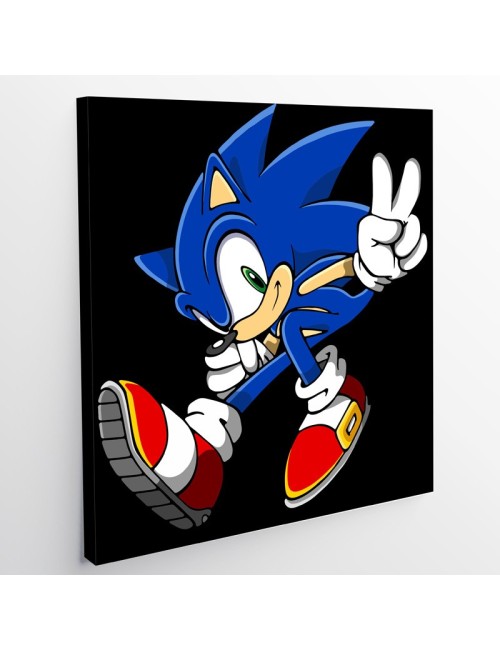 Kit De Pintura - Sonic