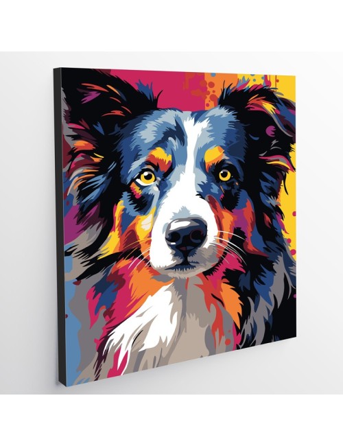 Kit De Pintura - Border Collie