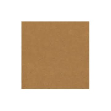 Papel Kraft Pliego 70 x 100cm